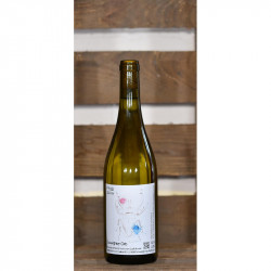 2024er Souvignier Gris PIWI...