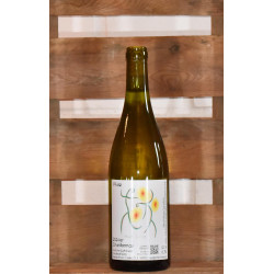 2024er Chardonnay...