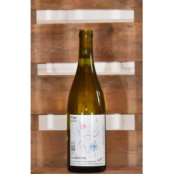 2024er Souvignier Gris PIWI...