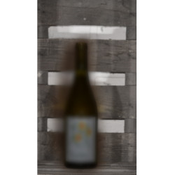 2024er Cabernet Blanc PIWI...